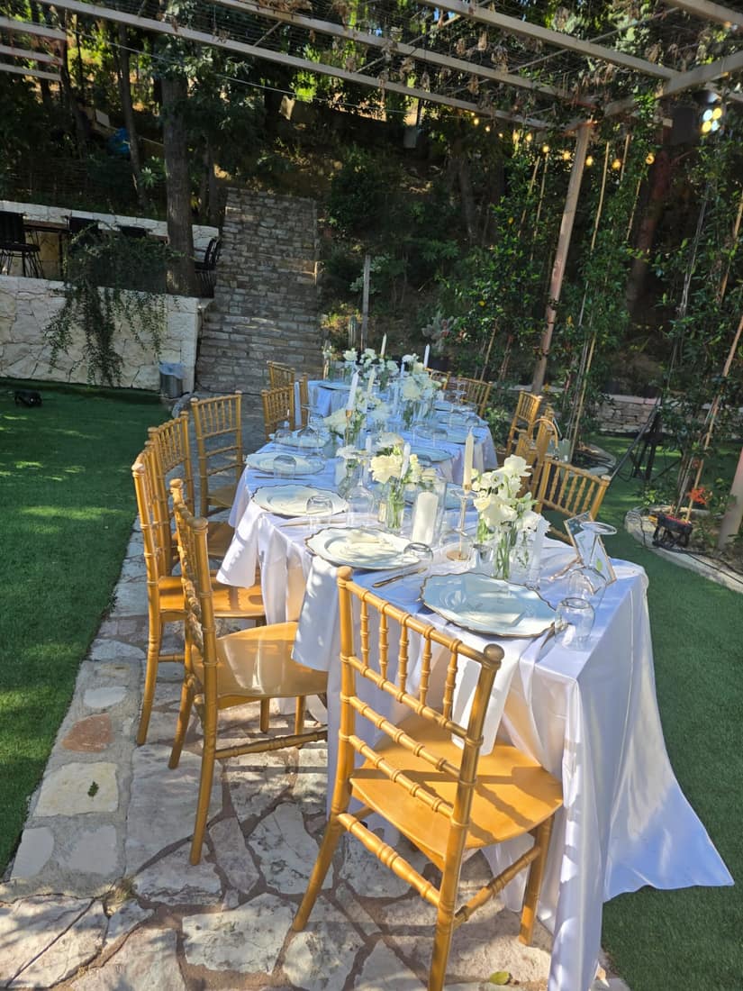 Table set under a vine pergola in a garden