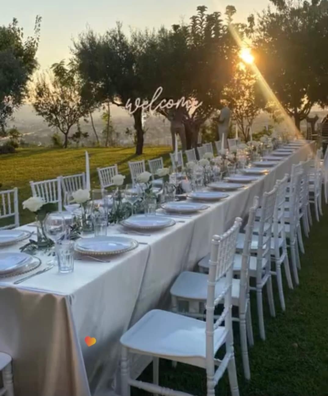 A long white banquet table under olive trees at golden hour